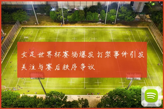女足世界杯赛场爆发打架事件引发关注与赛后秩序争议