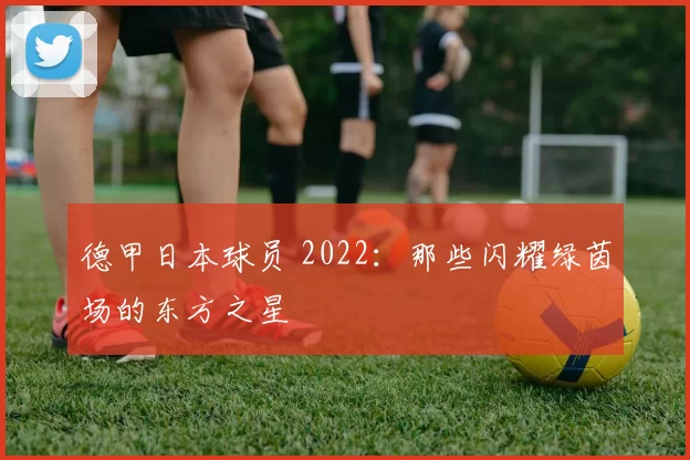 德甲日本球员 2022:那些闪耀绿茵场的东方之星