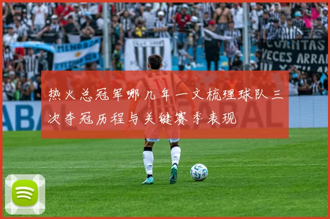 热火总冠军哪几年一文梳理球队三次夺冠历程与关键赛季表现