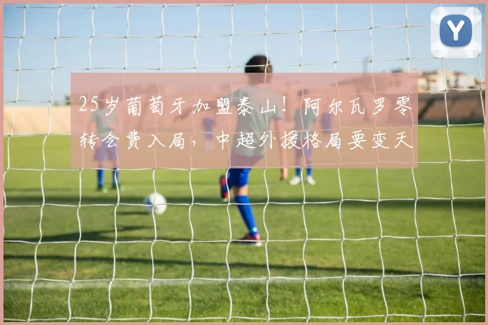 25岁葡萄牙加盟泰山!阿尔瓦罗零转会费入局,中超外援格局要变天_中后卫_球迷_本菲卡