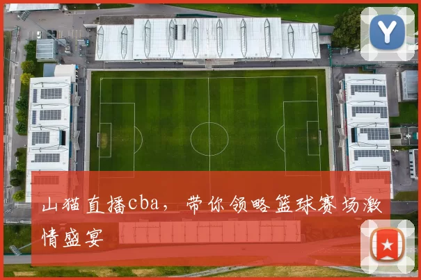 山猫直播cba，带你领略篮球赛场激情盛宴