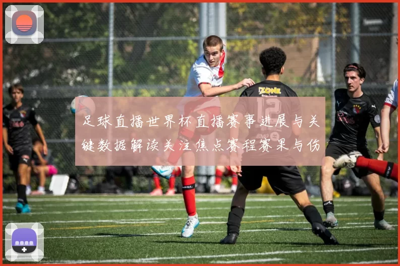 足球直播世界杯直播赛事进展与关键数据解读关注焦点赛程赛果与伤停影响