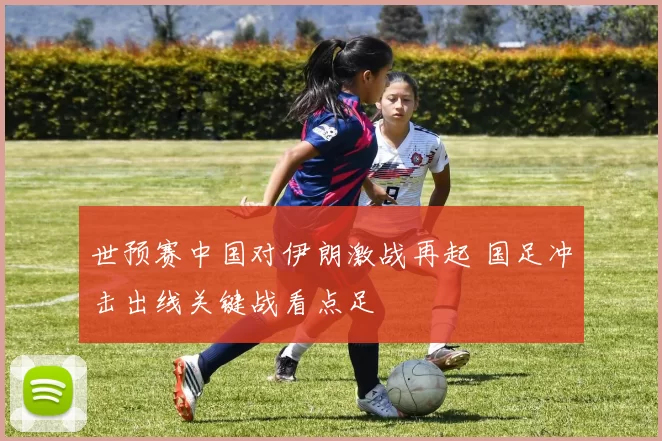 世预赛中国对伊朗激战再起 国足冲击出线关键战看点足